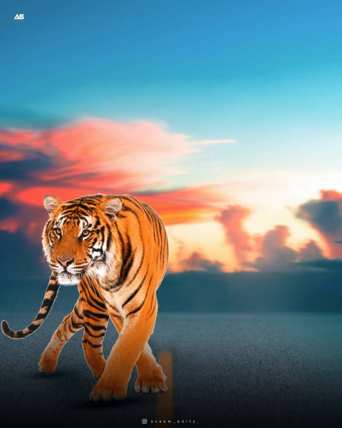 Tiger Poster Background For Picsart Editing