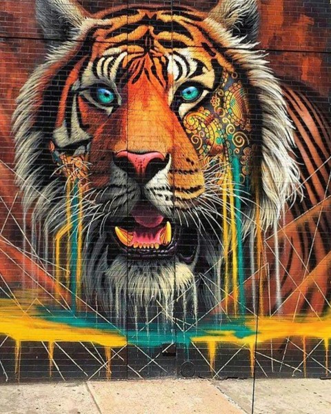 Tiger Wall Picsart Background Full HD