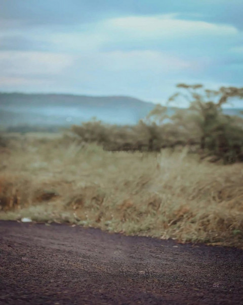 Top Snapseed Blur Photo Editing CB Background
