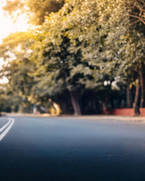Tree And Haiway Road Image Editing Background