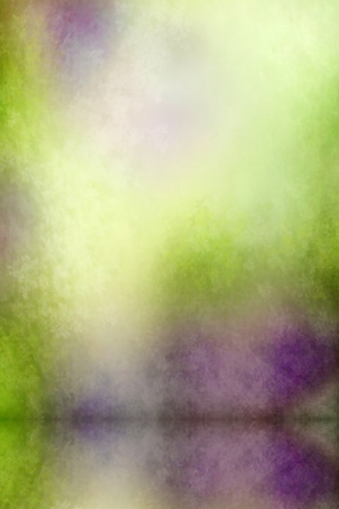 🔥Tree Forest Outdoor Studio Background HD Download New | PngBackground