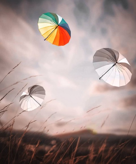 Umbrella Photo Editing CB Background