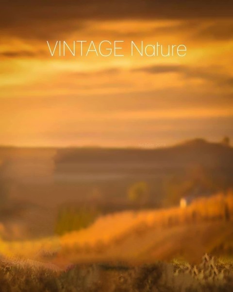 Vintage Nature Cb Edit Backgrounud Hd