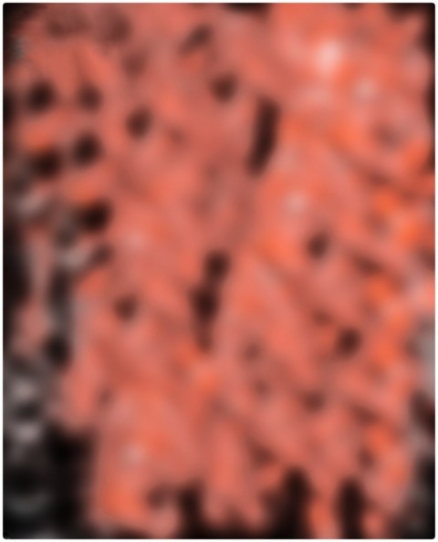 Viral Editing Snapseed Background For Editing
