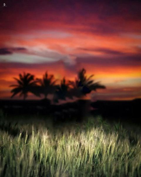 Viral Wallpaper HD Sundown For CB Photo Editing Background