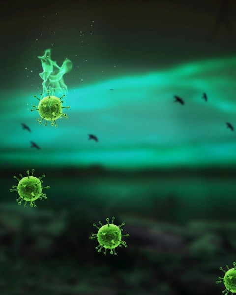 Virus Picsart Background For Photo Editing