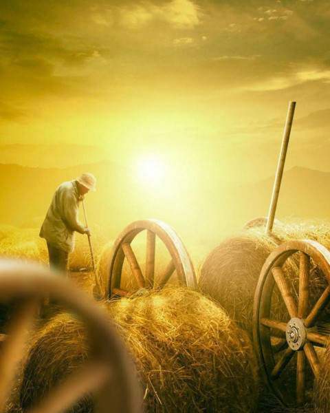Wheel Photo Editing PicsArt Background HD