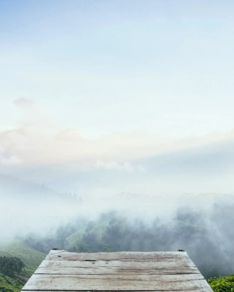 White Cloud With Wood Sky Background Free Images