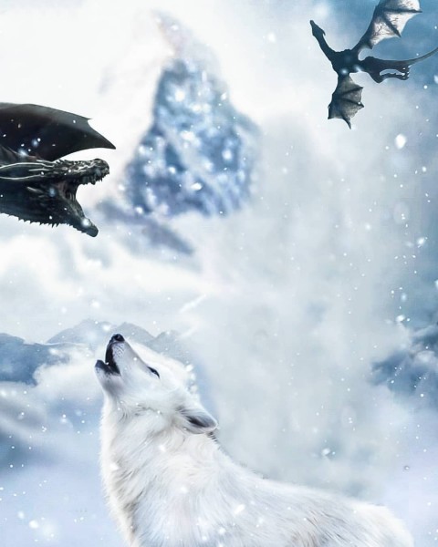 White Fox and Dragon Picsart Background HD