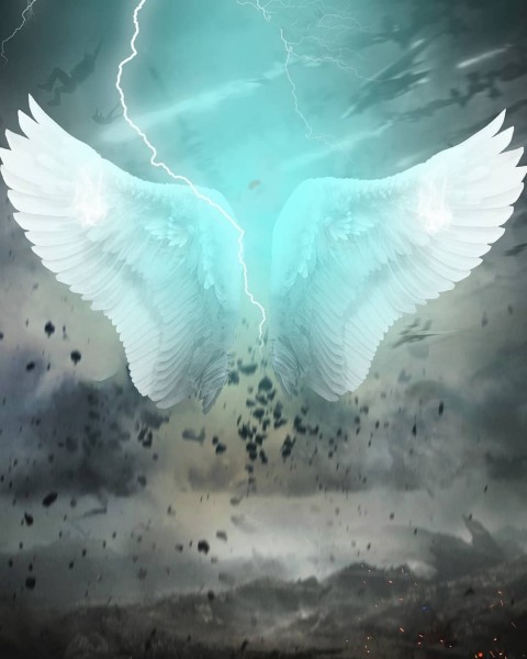 White Wing Full HD Background For Picsart