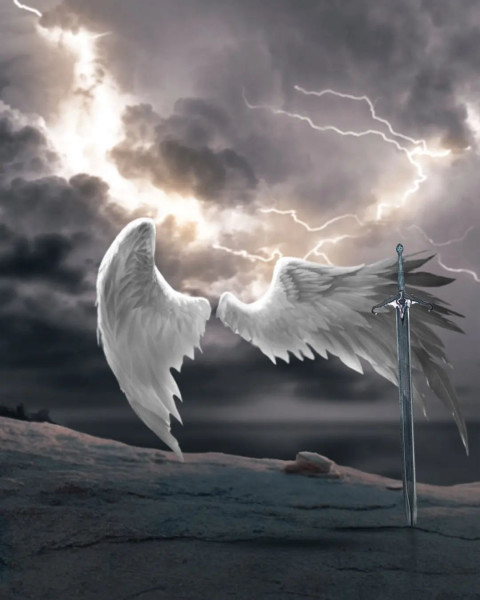 White Wing Viral Editing Background For CB PicsArt
