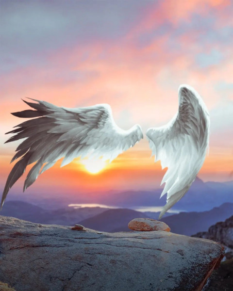 Wing CB Picsart Photo Editing Background HD