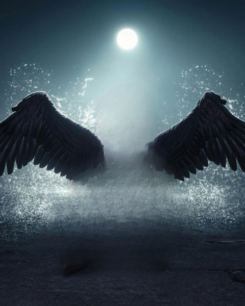 Wing Photoshop Viral Editing BAckground Wallpapers HD