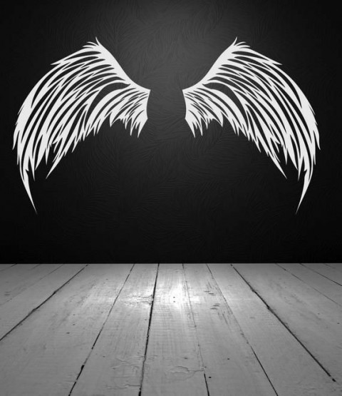 Wing Picsart Background HD Download