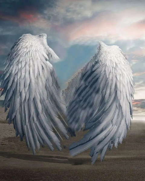 Wing Snapseed CB Editing Background Full HD Download