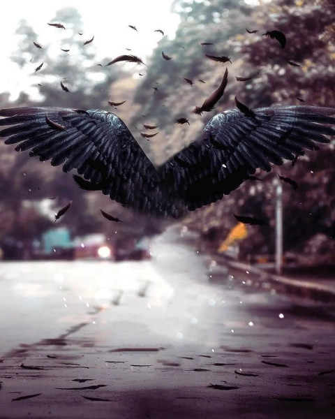 Wing Snapseed Viral Photo Editing Background HD
