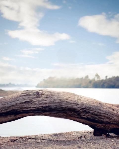 Wood Wallpaper With Sky Images Editing Background