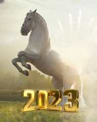2023 New Year Hd Horse Editing Background Images