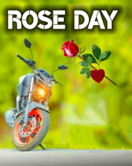 Best Rose Day Cb Editing Background For Photoshop & PicsArt
