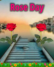 Best Rose Day Editing Background For Valentine's Day Picsart