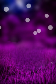 Dark CB Backgrounds New Full HD Download For Editing