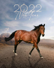 Happy New Year 2022 Horse CB PicsArt Background Editing