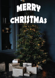 Merry Christmas CB PicsArt Editing Background HD