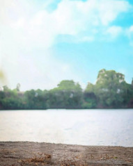 Nature Photo Editing Background For Sketchbook New