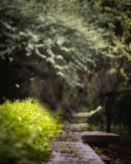 🔥Nature Trending Photo Editing HD Background Download | PngBackground