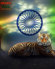 Picsart Independence Day HD Tiger Background Download