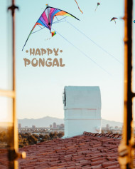 Pogal Makar Sankranti Editing Background HD For CB