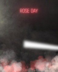 Rose Day Manipulation Editing HD Background New