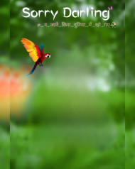 Sorry Darling Photo Editing Background Hd Free
