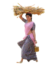 South Deshi Girl With Indian Saree Png Free Clipart Download