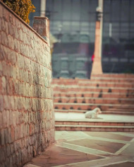 Cover Photo of Blur PicsArt Background Editing